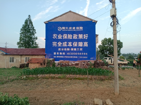 鹿寨墙体广告为何受追捧？